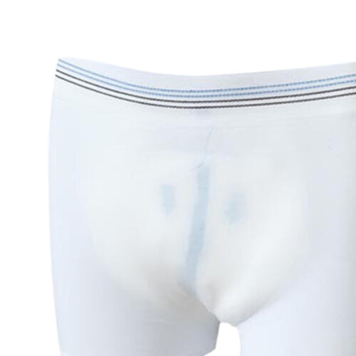 3 Pcs Reusable Washable Incontinence Aid Underwear Mesh Pants For 1