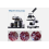 Microscope for Students,40-400X All-Optic Glass High-Power for Child 2