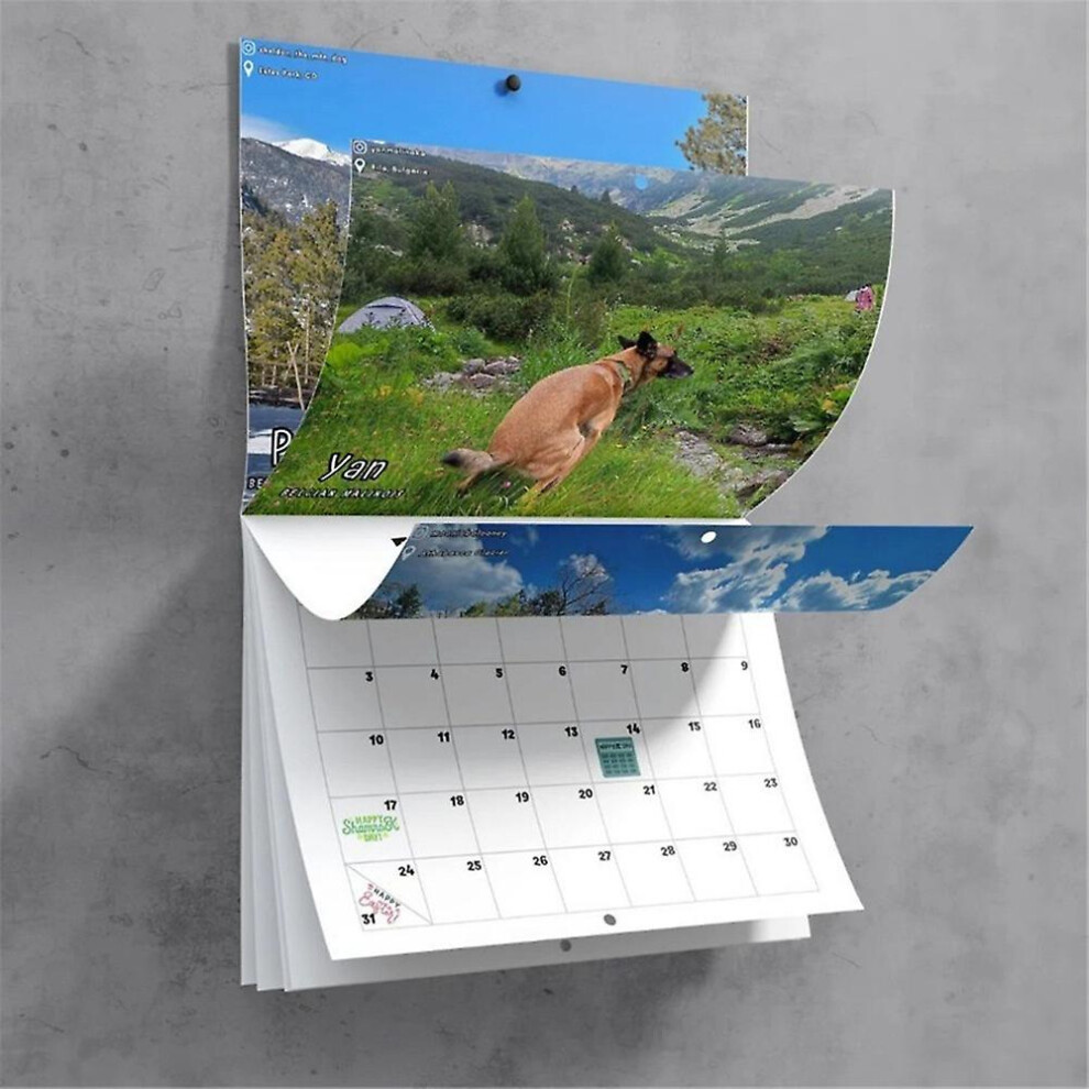 2024 Calendar Dogs Pooping In Beautiful Places Wall Calendar Family Planner And Daily Organizer For Home Office Gifts