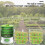 (2 Layer, UK) Automatic Sprouter Machine Bean Sprouts Growing Machine Large-capacity Sprouting_b 5