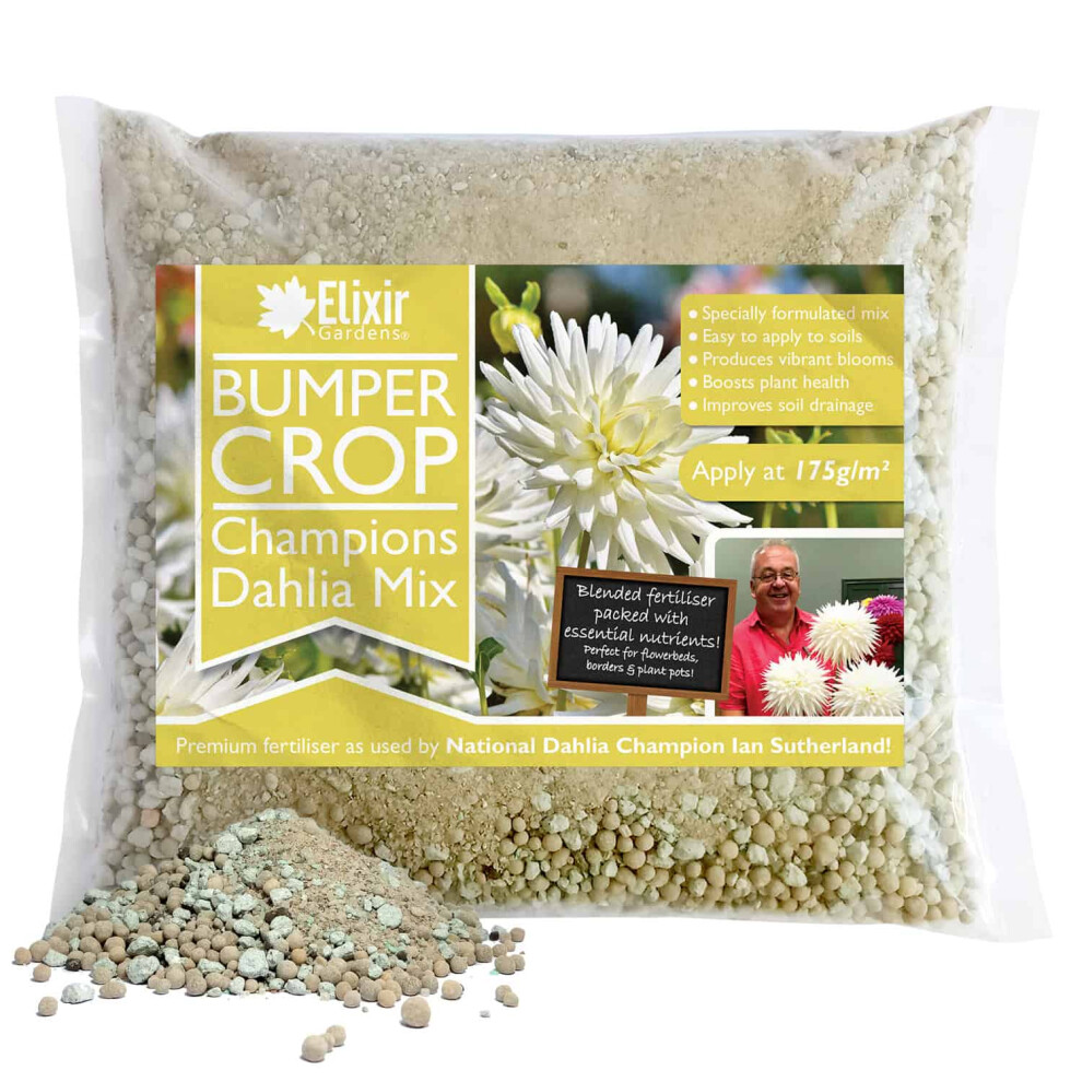 (Polythene Bag, 1KG) Champions Dahlia Mix | Blended Fertiliser