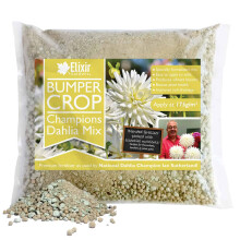 (Resealable Tub, 1KG) Champions Dahlia Mix | Blended Fertiliser
