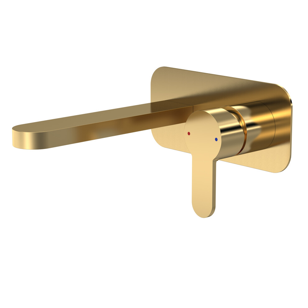 Round Wall Mount 2 Tap Hole Basin Mixer Tap & Back Plate - Brushed Brass