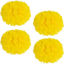 (4pcs Cheerleading Pom Poms For Cheerleader Costume Women, 2 Pair Cheer Pompoms) 4pcs Cheerleading Pom Poms For Cheerleader Costume Women, 2 Pair Cheer Pompoms