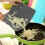 (Gray) Kitchen Environmentally Friendly Color Plastic Non-slip Cutting Board Kitchen 4