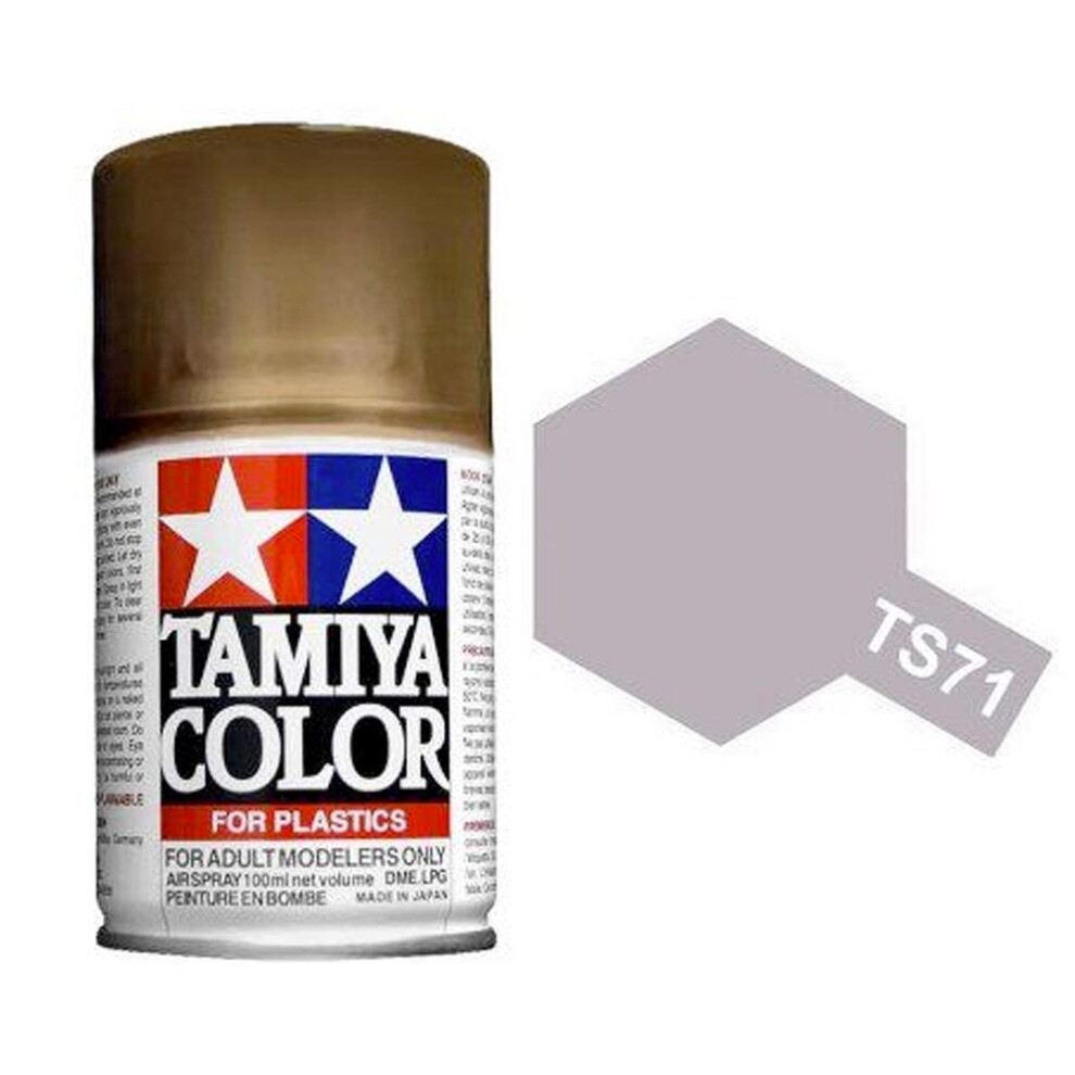 TAMIYA TS-71 Smoke 100ml Plastic Model Kit Spray Paint 85071