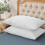 (PLAIN PILLOWCASE PAIR, WHITE) Plain Duvet Quilt Covers Reversible Bedding Set 1