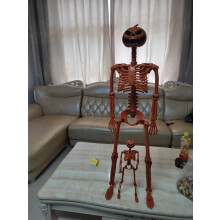 (90 pumpkin head skeleton, 90*26*10) Halloween Skeleton Skeleton 90cm Simulated Human Plastic Skeleton Decoration Haunted House Festival Scene Layout