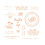 Tonic Studios - Stamps - Mason Jar Labels Stamp Set - 3379E 10