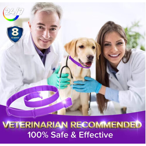 Treatment-for-Dogs, Adjustable Flea-Collar-Dogs, 8 Months Protection 2
