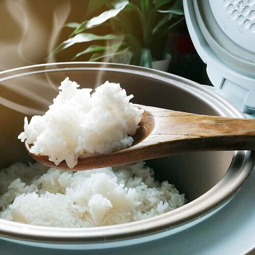 Gastroback Design Rice Cooker Pro 2