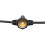 Arnold Festoon String Lights Outdoor 20 Light Garden Fitting - Black 7