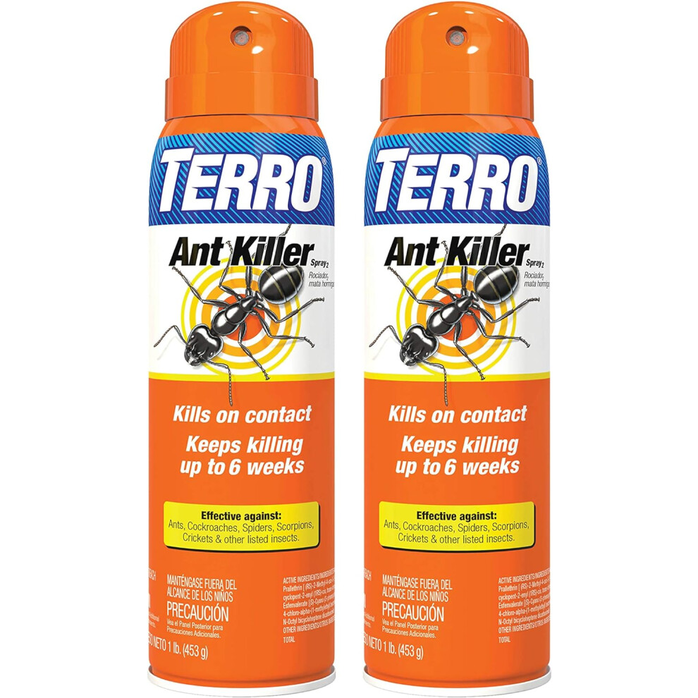 TERRO T401SR Indoor and Outdoor Ant Killer Aerosol Spray - Kills Ants, Cockroaches, Crickets, Scorpions, Spiders, and Other Insects