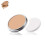 Kanebo Cellular Performance Total Finish Foundation TF24 Amber Beige 1