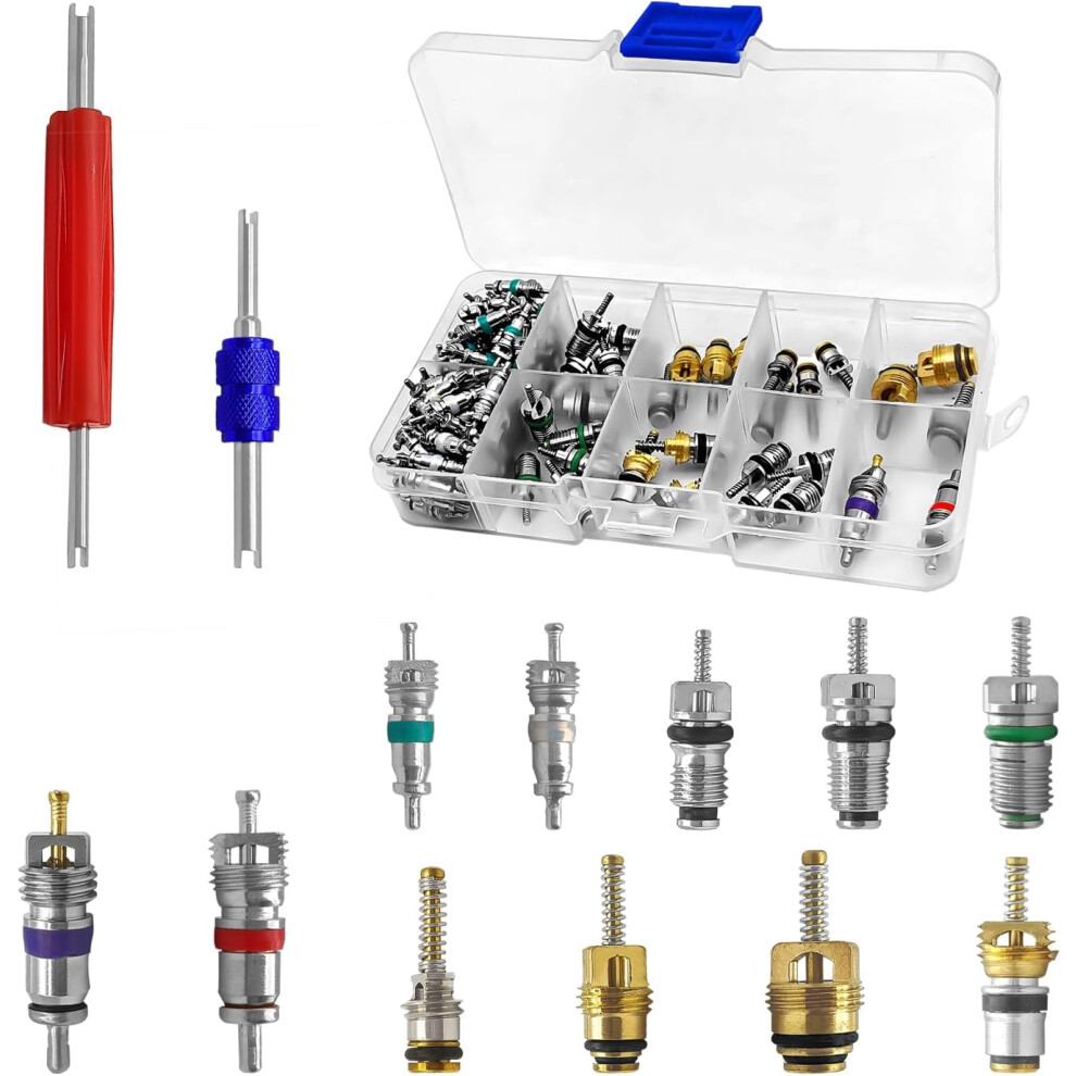 102Pcs A/C R12 R134a Car Air Conditioner Valve Core Seal Kit, Refrigeration Tire Valve Stem Cores Repair Kit Double Head Dual Dismantling Installer 6935462221806