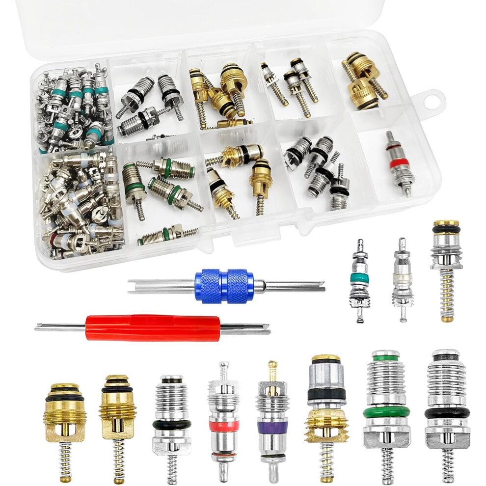 102Pcs Air Conditioning Valve Core - Valve Cores Accessories A/C R12 R134a Accessories Kit, Automotive Air Conditioning Refrigeration Tire Valve Stem 6935462222063