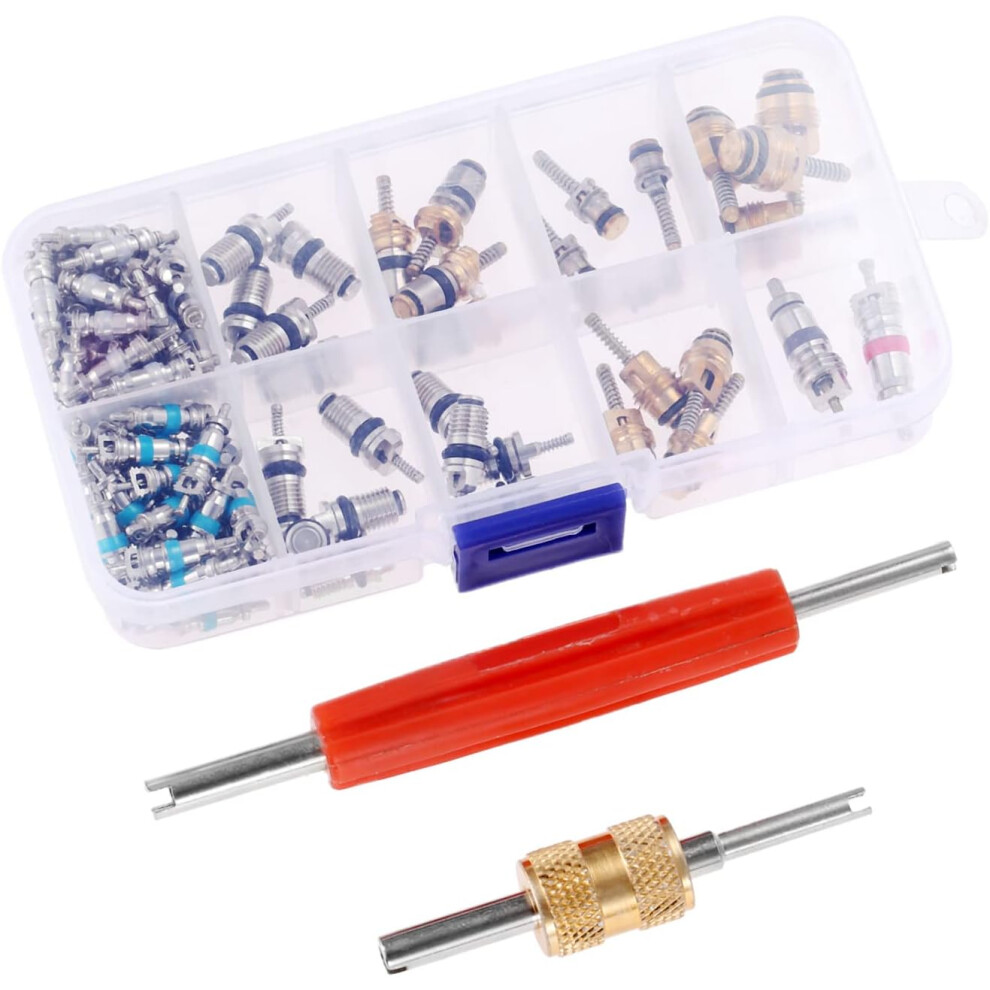 Mtsooning 102Pcs Air Conditioning Valve Core Accessories Kit, A/C R12 R134a Refrigeration Tire Valve Stem Cores & Removal Tool, R134a Valve Kit For 6935462222414