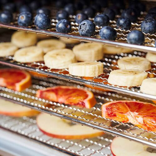 Gastroback Design Dehydrator Max 2