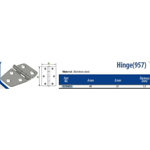 Hinge 40x55mm stainless steel - 1pair - 2pcs 2