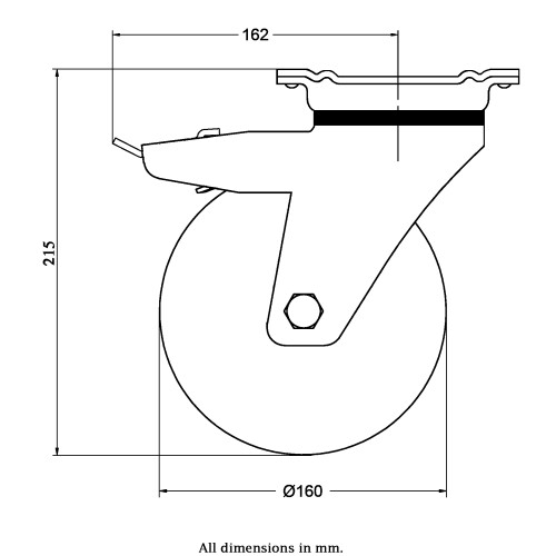 Parnells 160 mm Lenk-Bremsrolle mit blauem Elastikgummi auf Nylon-Mittelrad 1