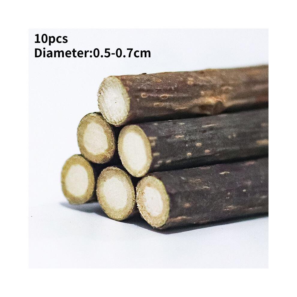 (10pcs) Nip Cat Sticks Dried Natural Silvervine Dental Chew Toy Teeth Clean Toothbrush-image-OPC-PDXR6RY-NEW