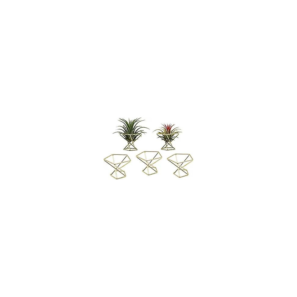 (Gold) 5 Pack Air Plant Holder,metal Geometric Decor Air Fern Plant Stands Mini Desk Planters Tillandsia Hanger