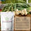 (50g ) Garlic Powder | Highest Premium Quality 6