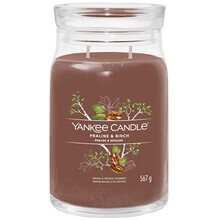 Yankee Candle - Praline & Birch Signature Candle ( pralinka a bříza ) - Vonná svíčka 368.0g