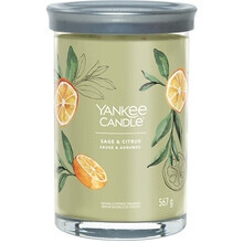 Yankee Candle - Salbei & Zitrus Tumbler (567g)