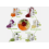 5-Blade Vegetable Spiralizer Sedhoom Foldable Spiral Slicer 5