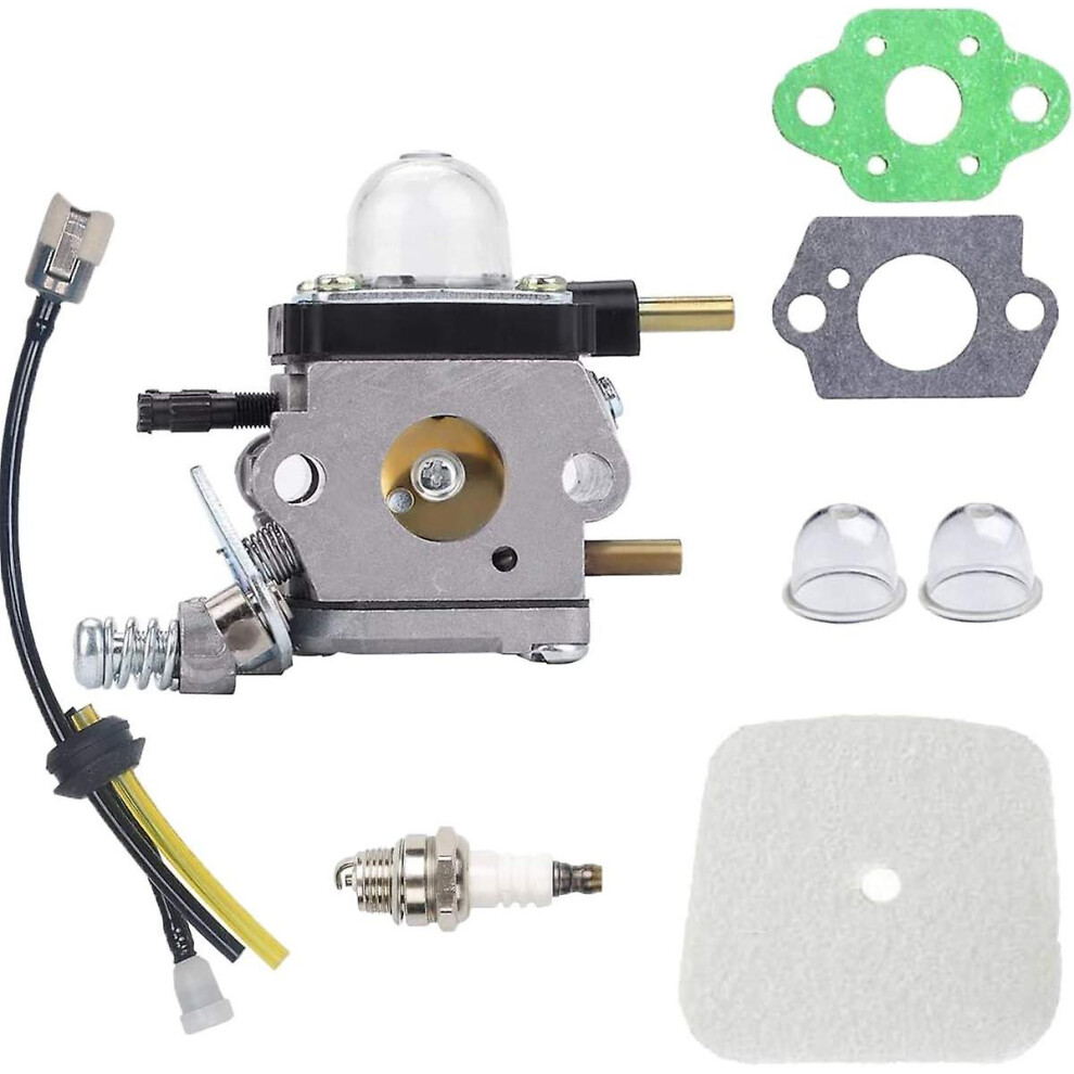 Ln-mantis Tiller Parts Carburateur C1u-k54a Avec Kit De Repower De Filtre  Air Pour Mantis 2 Temps 7222 7222e 7222m 7225 7230 7234 7240 7920 7924