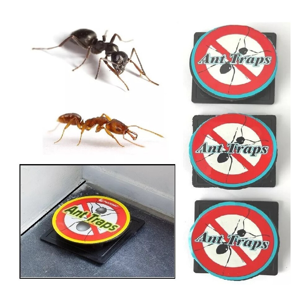 3 X Ant trap Insect Catcher Killer Trap Pest Pre-Baited trap