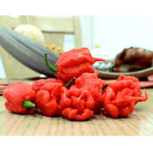 100Pcs Rare Carolina Reaper Chilli Pepper Vegetable Seeds Garden Decor Gift