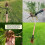 1pc Weeder, The Ultimate Stand Up Weed Puller Tool, No Bending, Pulling, Or Kneeling 8