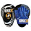 Target Focus Pads Muay Thai Coaching Pads Boxing Training MMA Set 4