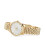 GUCCI Gucci YA1264155 Herr G-Timeless 36 mm Klocka 4