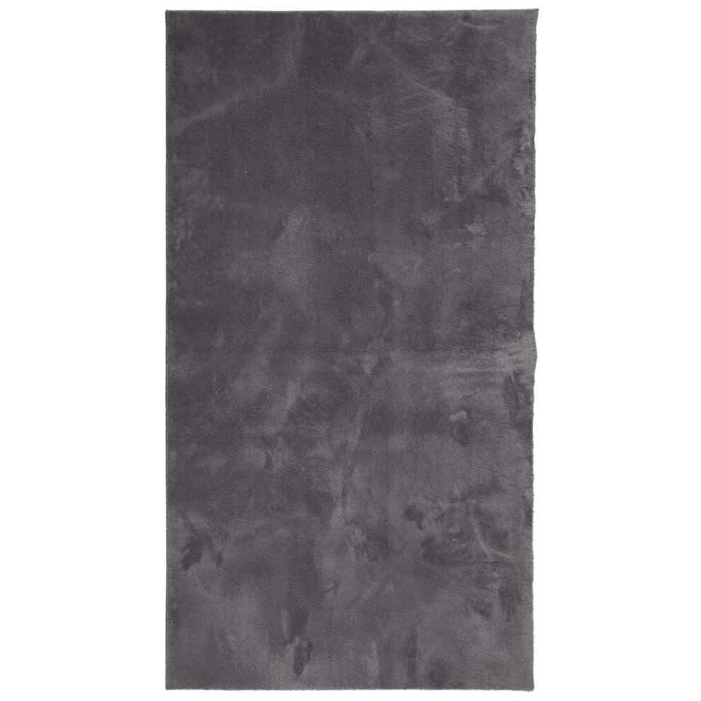 Vidaxl (Anthracite, 60 X 110 Cm) Rug Short Pile Soft And Washable Floor Mat Area Rug Bedroom Carpet