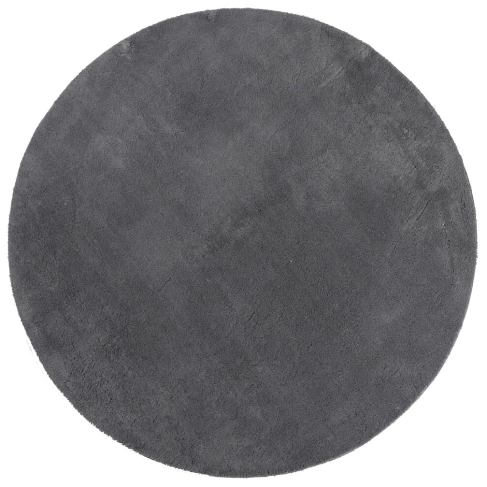 (anthracite, 80 cm) vidaXL Rug Short Pile Soft and Washable Floor Mat Area Rug Bedroom Carpet