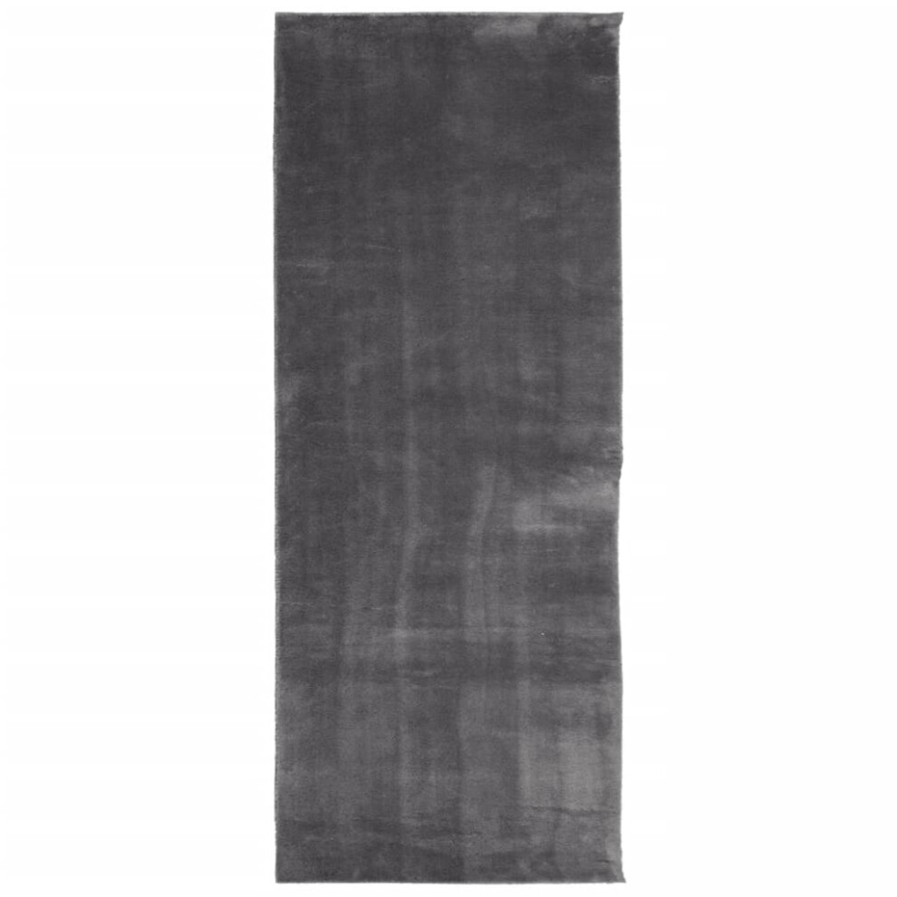 (anthracite, 80 x 200 cm) vidaXL Rug Short Pile Soft and Washable Floor Mat Area Rug Bedroom Carpet