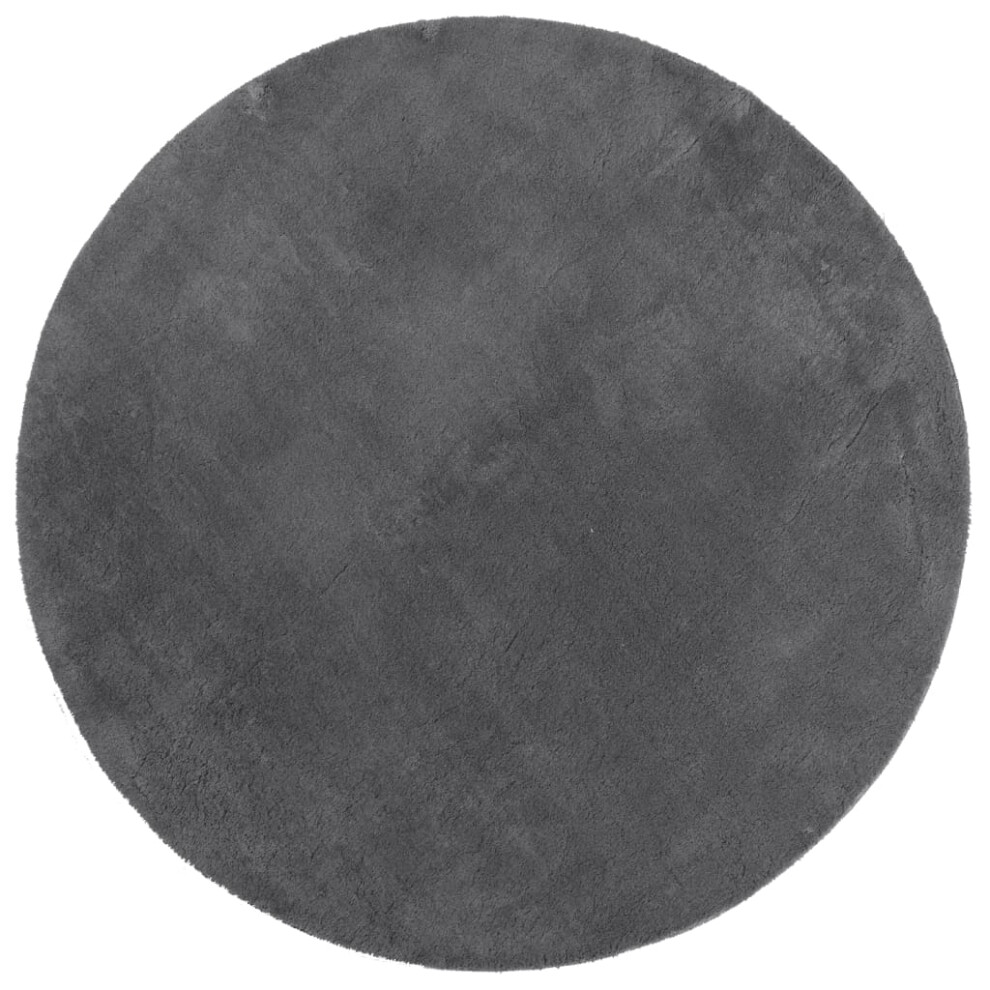 Vidaxl (Anthracite, 160 Cm) Rug Short Pile Soft And Washable Floor Mat Area Rug Bedroom Carpet
