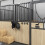 VidaXL vidaXL Bridle Racks 3 pcs Wall Mounted Saddle Rack Saddle Stand Black Iron 3