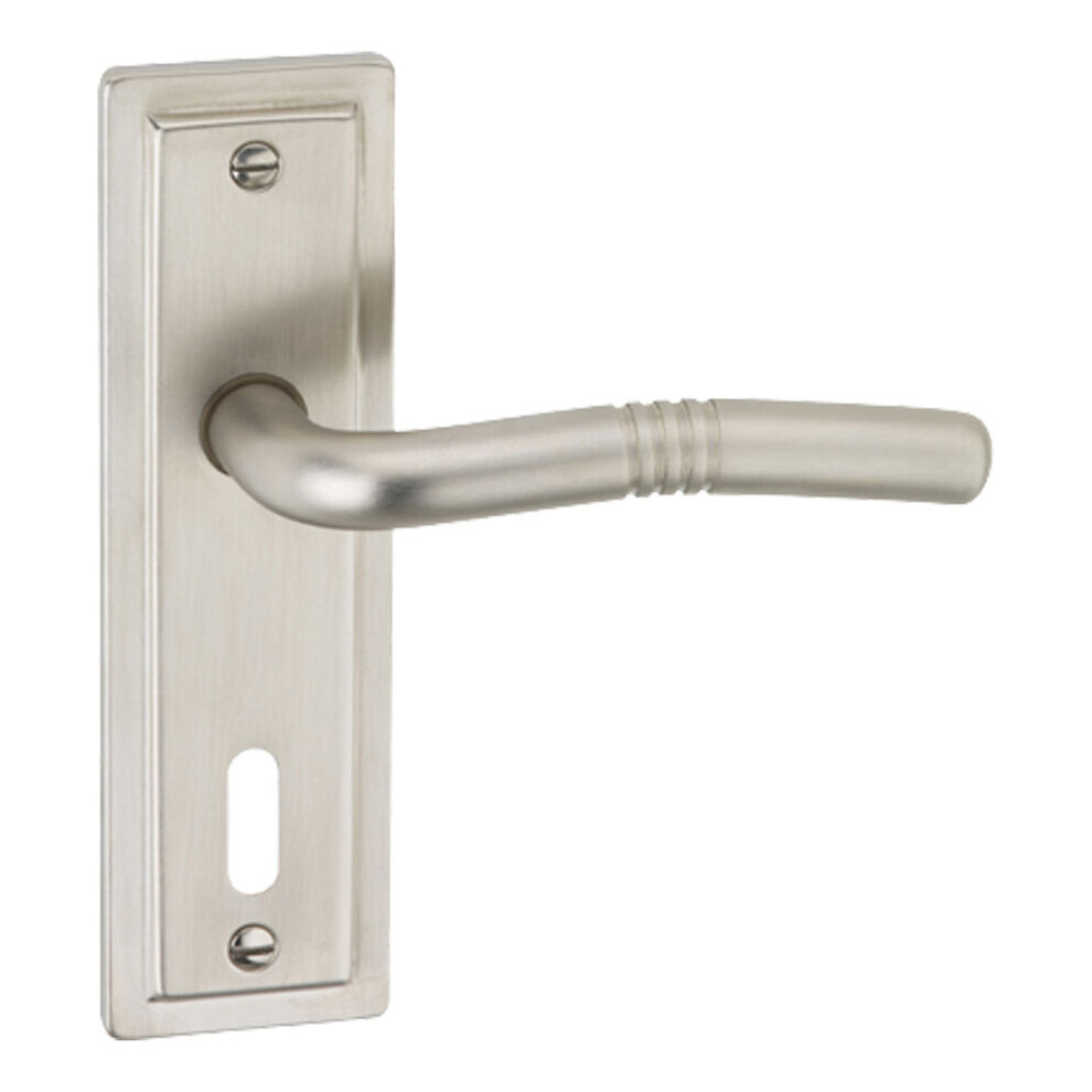 (Satin Nickel Keyhole) Metal Lever Latch Door Handles Set Round Rose