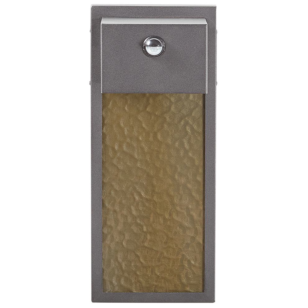 Outdoor LED Wall Light CARRON with Motion Sensor Grey