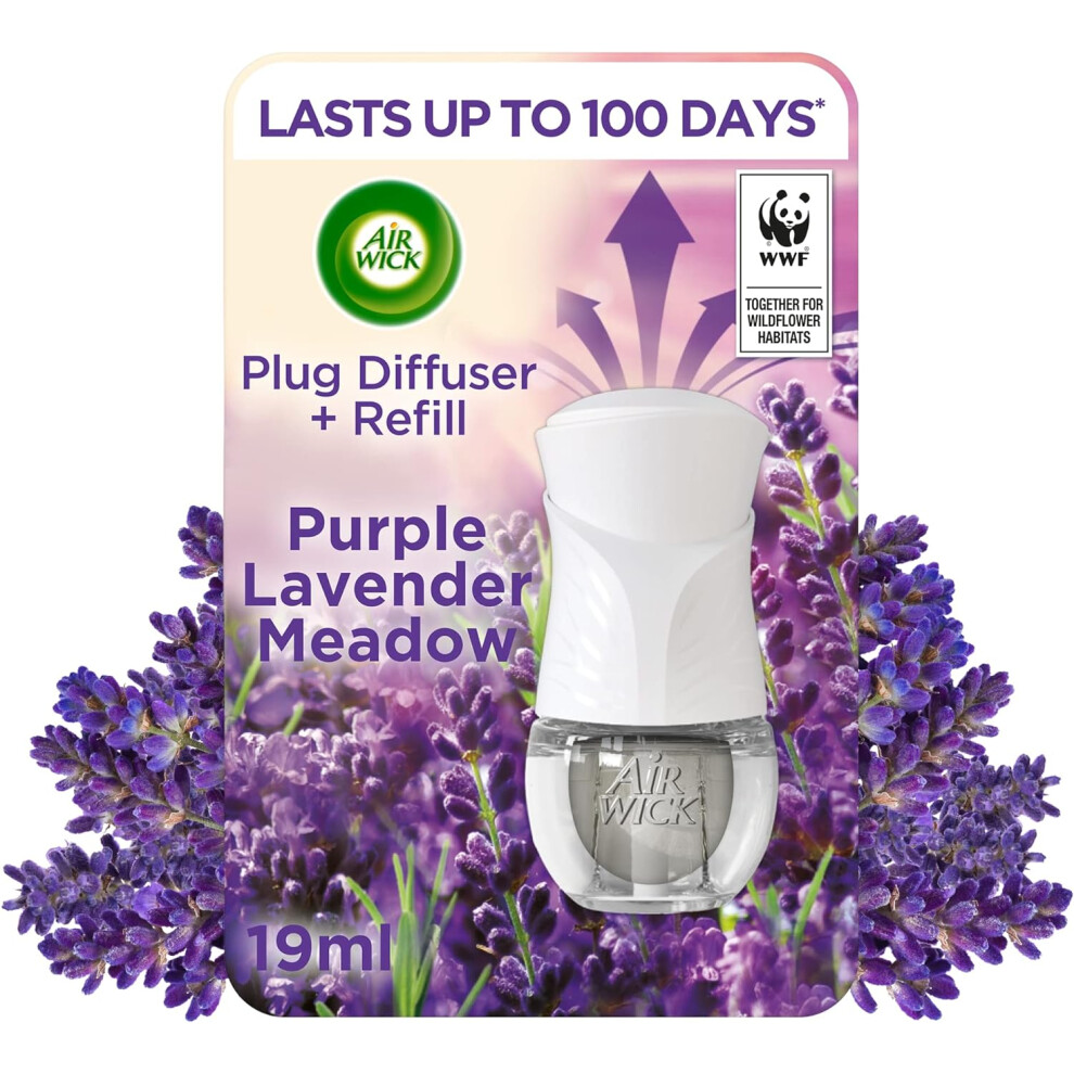 Air Wick Plug-In Diffuser Kit Purple Lavender Meadow (19ml) - 1 Device & 1 Refill, Up to 100 Days Fragrance, Essential Oils, Air Freshener-image-OPC-PDY2ZSM-NEW