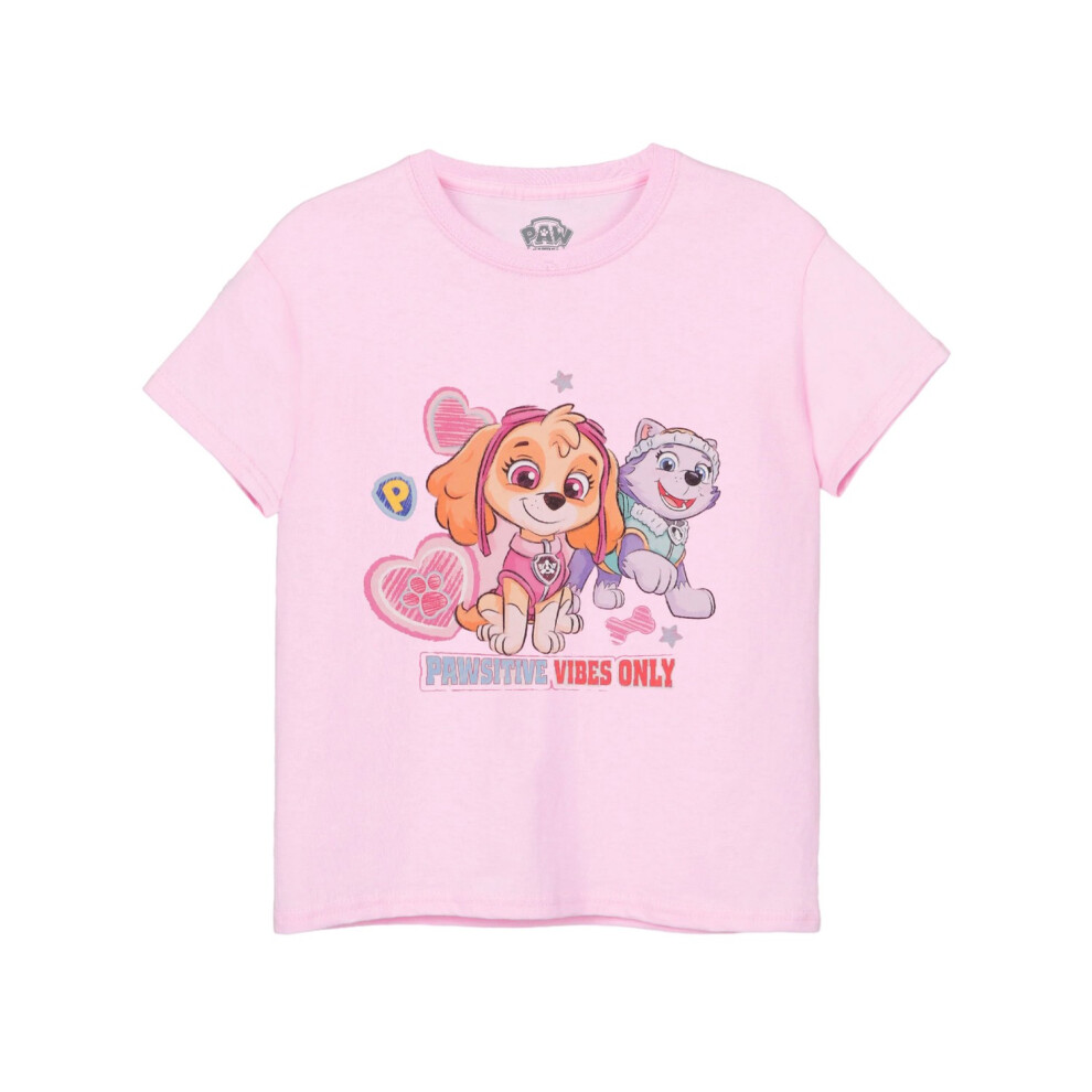 (2-3 Years, Pink) Paw Patrol Girls Pawsitive Vibes Only T-Shirt