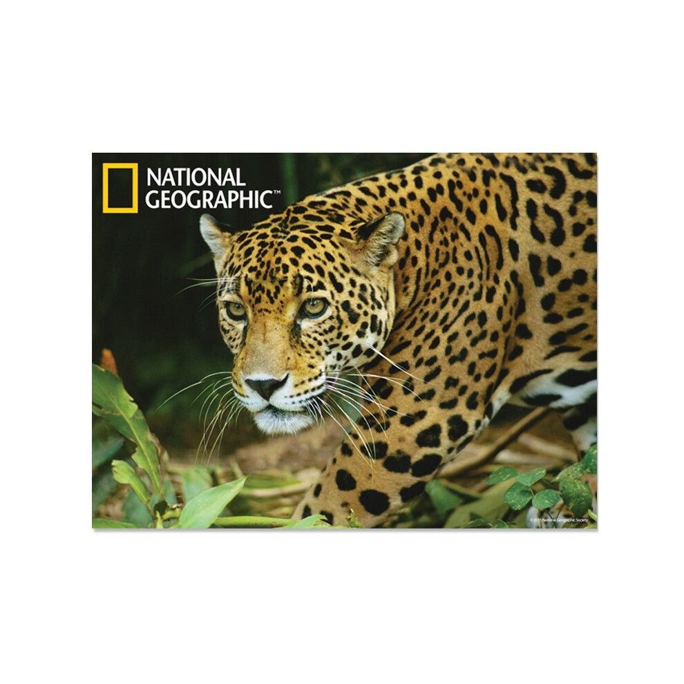 National Geographic Jaguar Prime 3D Postcard