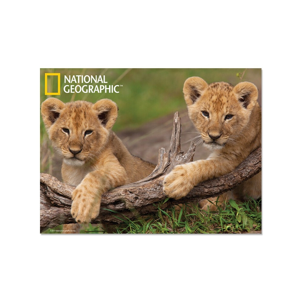 National Geographic African Lion Cubs Prime 3D Postcard