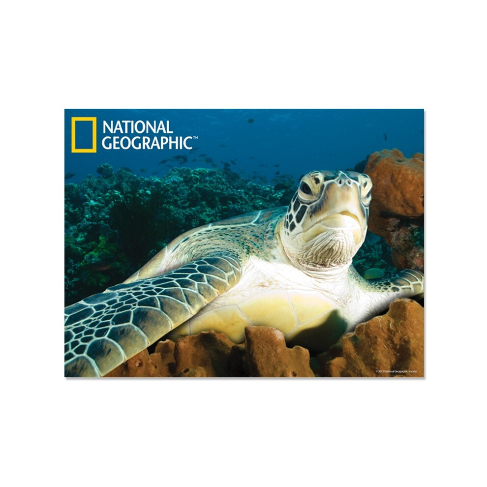 National Geographic Sea Turtle Prime 3D Postcard