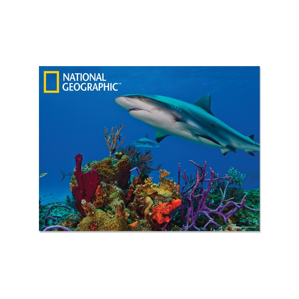 National Geographic Shark Prime 3D Postcard