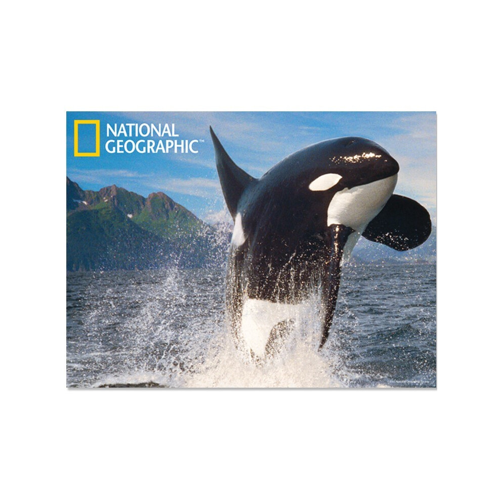 National Geographic Orca Whale Prime 3D Postcard